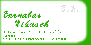 barnabas mikusch business card